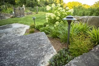 Low Voltage Landscape Lighting
