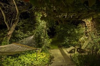 Custom Mood Lighting - Landscaping