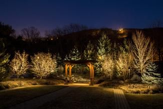 Low Voltage Landscape Lighting