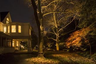 Moon Canopy Landscape Lighting