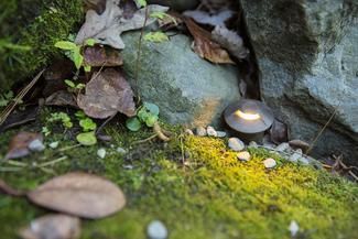 Niche Light - landscaping