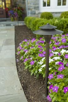 Landscape lighting - path lighting