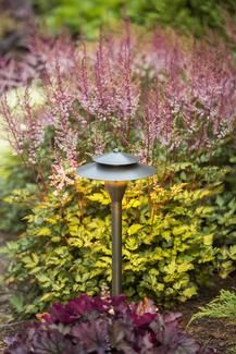 Landscape lighting - path lighting