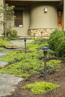 Landscape lighting - path lighting