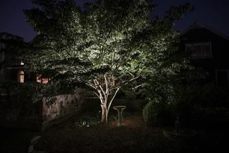 Landscape uplighting