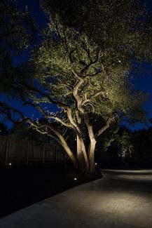 Landscape uplighting